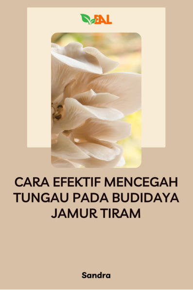 Sampul buku Cara Efektif Mencega...